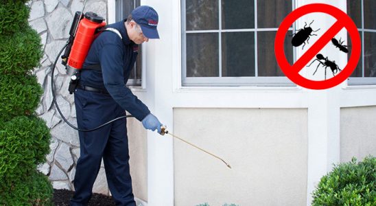 Ağrı Akrep İlaçlama böcek ilaçlama ve haşere kontrolü — ilaclama-tr.com